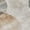 Taupe, variant on Addison Rugs Chantille Indoor/Outdoor Contemporary Abstract Aloe Machine Washable Rectangle Rug, 10' x 14'