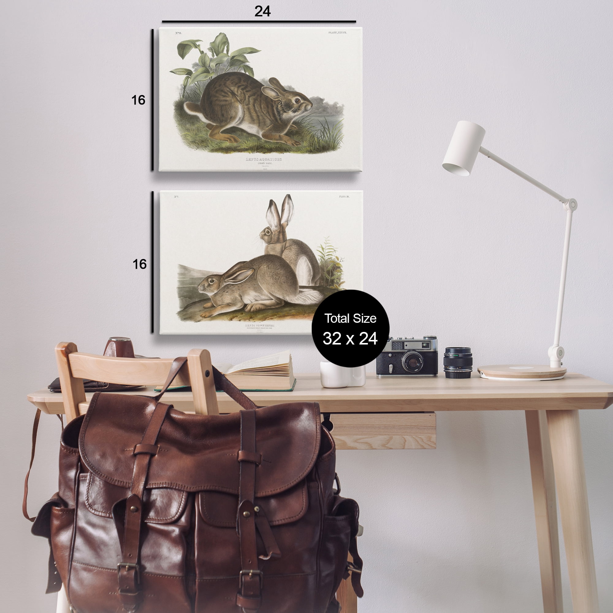 Stupell Industries Gentle Resting Cottage Rabbit Animals Painting Wrapped Canvas Art Print Wall Art, 24 x 16, Set of 2