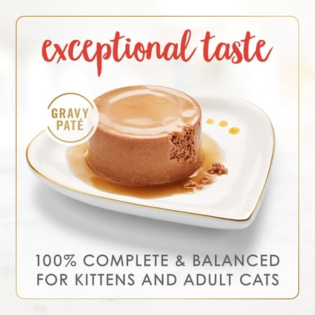 PURINA FANCY FEAST GRAVY LOVERS PATE FOOD, WET CAT FOOD, BEEF FEAST IN GRAVY, 3 OZ CAN