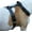 Black, variant on Brown Genuine Tooled Leather Dog Harness Large. 27"-37" Chest, 1.25" Wide Straps Pitbull, Boxer