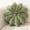 green, variant on Flower Pillow Cushion Round Decorative Throw Pillow,for Sofa Bed, Soft Round 15.7 Velvet