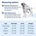 thumbnail image 4 of PetSafe Easy Walk Comfort No-Pull Dog Harness, 5 Adjustement points, XS, Black, 4 of 8