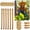 C-2C, variant on MMJ Plant Support Stakes Copper Antenna Coil 13.19in Training Pile Garden Climbing Vine Horticultural Tool 1 3 6 Pack