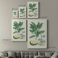 thumbnail image 4 of Buchoz Tropicals IV Premium Gallery Wrapped Canvas - Ready to Hang, 4 of 9