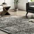 thumbnail image 6 of nuLOOM Arlena Vintage Traditional Area Rug, 2' x 8', Runner, Arlena Charcoal, 6 of 6