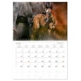 thumbnail image 6 of Elegance and beauty - horses (Monthly Wall Calendar 2026 16.5 x 23.4 (open)), CALVENDO 14 Month Calendar, 6 of 9