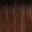 CHOSWI, variant on Outre Glueless Synthetic Pre-Plucked HD Lace Front Wig - TALHA