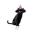 thumbnail image 4 of Estatua de gato para jardín, estaca de animal, decoración de Halloween, inserto de metal realista para el suelo de un gatito para el patio trasero de 183 x 28 cm, 4 of 8