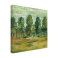 thumbnail image 3 of Trademark Fine Art 'Forest II' Canvas Art by Silvia Vassileva, 3 of 3