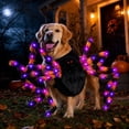 thumbnail image 5 of Pet Costume, LED Giant Spider Black Furry 1 Pack, Halloween Cosplay Prank Dress Up, Harness Back Harness for Small Medium Large Dogs Cats, Funny Trick Spooky Props for Halloween Party Decoration, 5 of 5