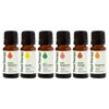 Plant Therapy Essential Oils Fruits Set - Grapefruit, Tangerine, Lemon, Mandarin, Lime, Orange Sweet 100% Pure, Undiluted, Natural Aromatherapy, Therapeutic Grade 10 mL (1/3 oz)