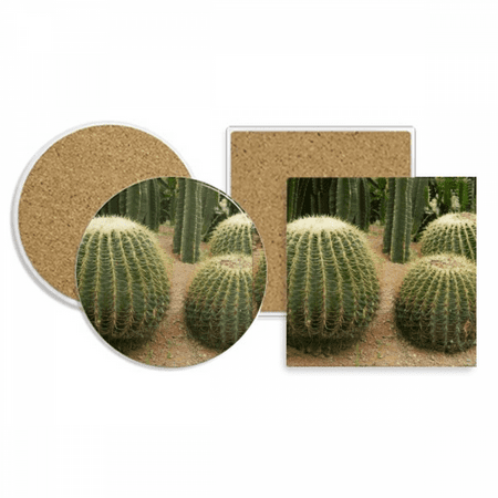 

Green Oval ly Pear Coaster Cup Mug Holder Absorbent Stone Cork Base Set