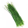 thumbnail image 2 of Hierba Fresca Alfavid cebollín 30 g, 2 of 3