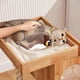 thumbnail image 2 of Electronic Sparrow Cat Toy Simulated Flying Stick Sensor Teaser Wand Touch Interactive Tool Indoor Toy Eser No Catnip, 2 of 5