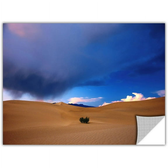 Dean Uhlinger Death Valley Winter, Art Appeelz Removable Wall Art Graphic