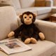 thumbnail image 5 of Juguetes De Peluche Peluche de orangután suave y tierno para niños y niñas (1 unidad) Rkxzt, 5 of 8