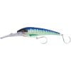 Spanish Mackerel