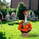 thumbnail image 5 of Disfraz de Ganso para Halloween | Tela Impermeable | Disfraz para Jardín | Decoración para Pascua y Halloween | 1 Juego, 5 of 7