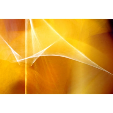 Amber Photograph - Amber Abstract II, Fine Art Photograph By: Douglas Taylor; One 36x24in Fine Art Paper Giclee Print