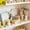 10PCS White267, variant on Iumwxz Plastic Woven Storage Basket with Handles White Hollow Weave Decorative Easter Egg Basket for Home Organization 9 x 8 x 6 cm