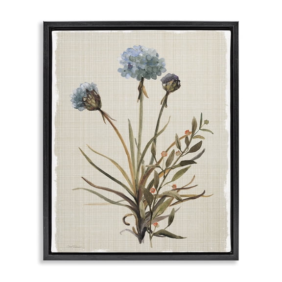 Stupell Industries Shabby Chic Natural Hydrangea Buds Black Floating Frame Canvas Art, 17 x 21, by Carol Robinson