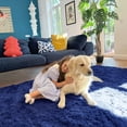 thumbnail image 2 of Buganda Area Rugs for Living Room 9'X12', Soft and Fluffy Shaggy Carpet for Pets, Machine Washable Floor Rugs for Bedroom, Navy, 2 of 8