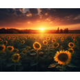 thumbnail image 1 of Sunflower Symphony - DIY Diamond Painting, 1 of 6