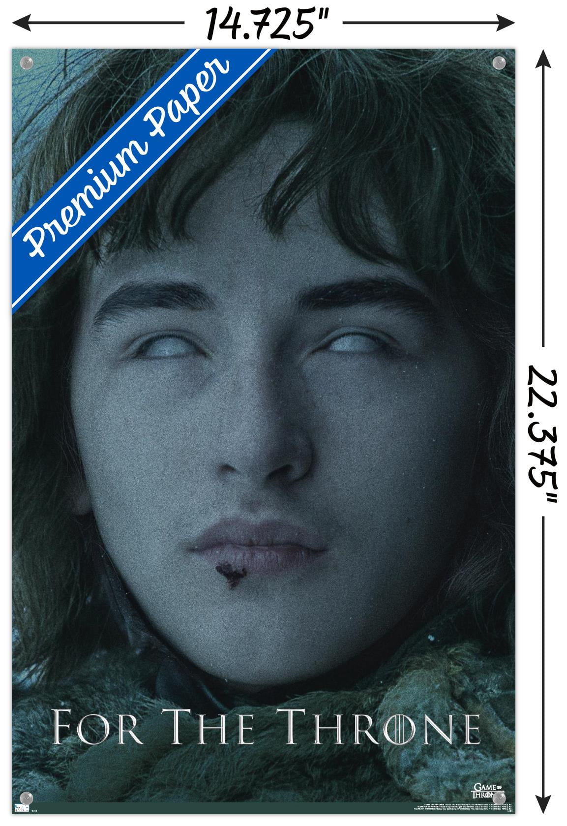 Game of Thrones - Bran Stark Wall Poster with Pushpins, 14.725" x 22.375"