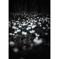thumbnail image 2 of Design Fabrikken 24x32 Gold Ornate Wood Framed with Double Matting Museum Art Print Titled - Windflowers, 2 of 4