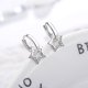 thumbnail image 1 of Pendientes de plata de ley 925 con circonita AAA para mujer, exquisitos accesorios de joyería para novia y estudiante, fiesta de boda, 1 of 2
