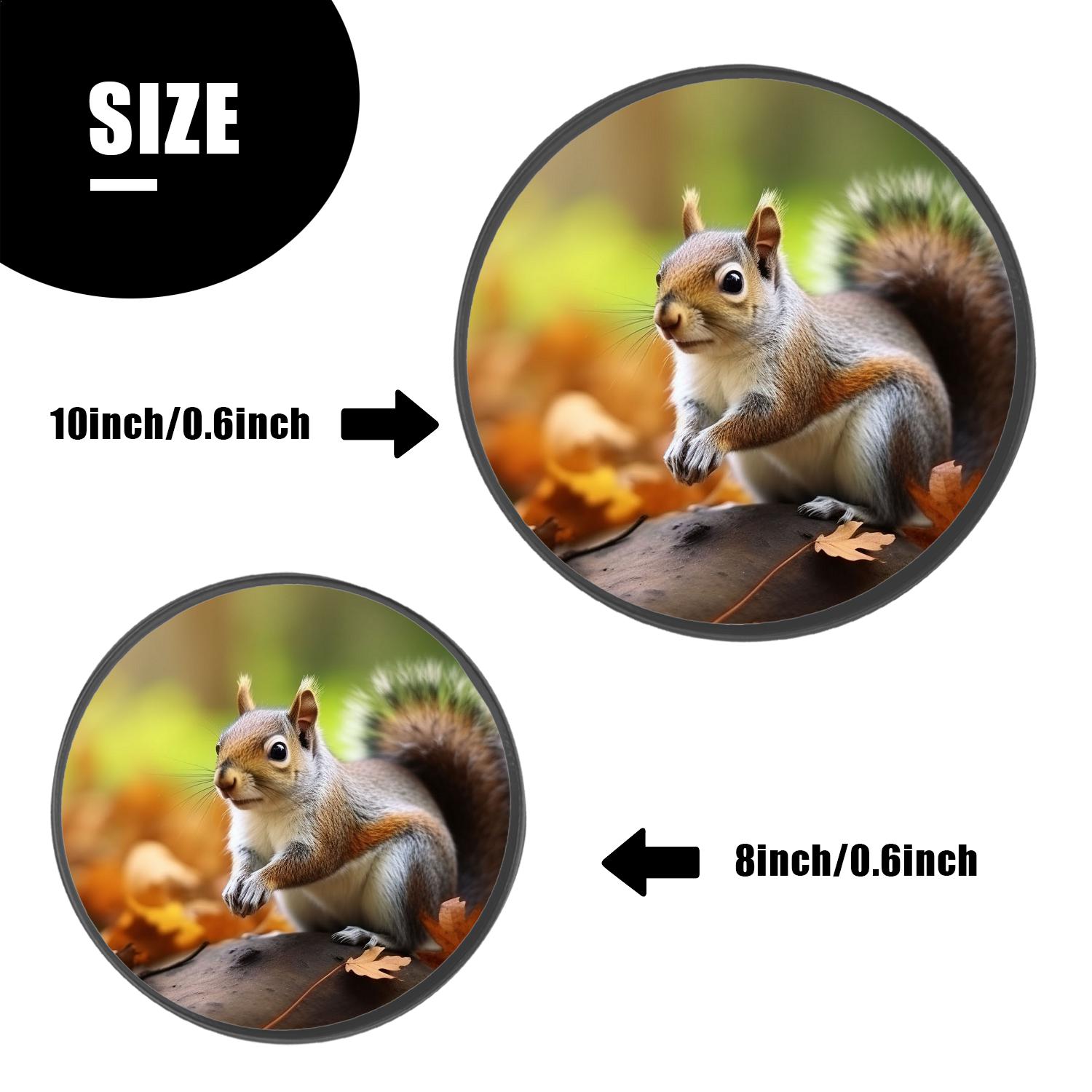 Round Stove Burner Covers 4 Pcs,Autumn Squirrel Forest Leaves Landscape Nature Lovely Round Electric Stove Burner Covers 8Inch And 10Inch