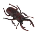 thumbnail image 1 of Animal Modelo de Juguete para Niños Ciencia Clase Enseñanza, 1 of 9