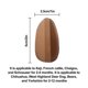thumbnail image 3 of Dog Ear Stand - Dog Ear Support Patch Fixed Support Correction Vertical Tool, 3 of 5