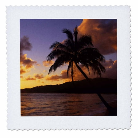 3dRose Hawaii, Kauai, Sunrise in a tropical paradise - US12 JGI0167 - Jerry Ginsberg - Quilt Square, 12 by