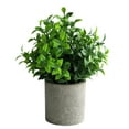 thumbnail image 2 of Vacemry Under $5 Artificial Potted Plant, Fake Green Plant in Decorative Pot, Realistic Tabletop Greenery for Desk Shelf Countertop, Low Maintenance Home Office Decor, Faux Plant, 2 of 6