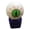 Green, variant on 1 Pc Halloween Eyeball Keychain Bulk Horror Goth Eye Ball Bag Charms Voice, Play, and Button Light for Purse Backpack Gift Trick or Treat Party Favors Decor (Green)