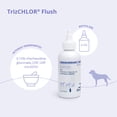 thumbnail image 2 of TrizCHLOR Flush, 4 oz, 2 of 8