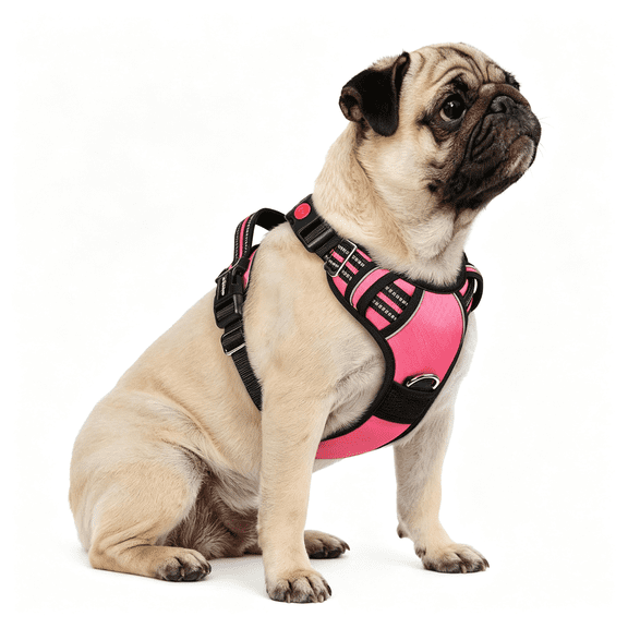 GASTROPOD Dog Harness Small Sized, No Pull Dog Vest with 3 Buckles, Adjustable Soft Padded Pet Harness with Easy Control Handle and Reflective Strips, Soft Padded Harness for Small Dogs 5-15Lbs Pink