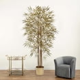 thumbnail image 4 of Nearly Natural 5' Golden Bamboo Tree, Green, 4 of 5