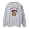 thumbnail image 1 of Harry Potter Womens Gryffindor Heather Sweatshirt, 1 of 3