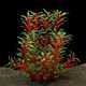 thumbnail image 1 of Large Aquarium Plants Artificial Plastic Fish Tank Plants Decoration Ornament for All Fish (Red), 1 of 4