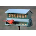 thumbnail image 2 of Woodlink Absolute II Squirrel Resistant Bird Feeder Model 7536, 2 of 2