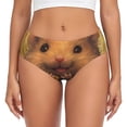 thumbnail image 1 of Fotbe Cute Sunflower Guinea Pig Calzones Estampados para Mujer – Ropa Interior de Algodón, Cómoda, Suave y Elástica-Small, 1 of 6