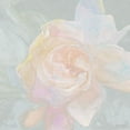 thumbnail image 2 of Stellar Design Studio 26x26 Black Ornate Wood Framed with Double Matting Museum Art Print Titled - Rose Bouquet 2, 2 of 4