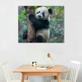 thumbnail image 2 of Nawypu  Black and White Animal Panda Wall Art, Cute Panda Poster Picture Canvas Prints Green Painting Wall Decor for Bedroom Bathroom Nursery Framed Artwork Home Decoration,, 2 of 6