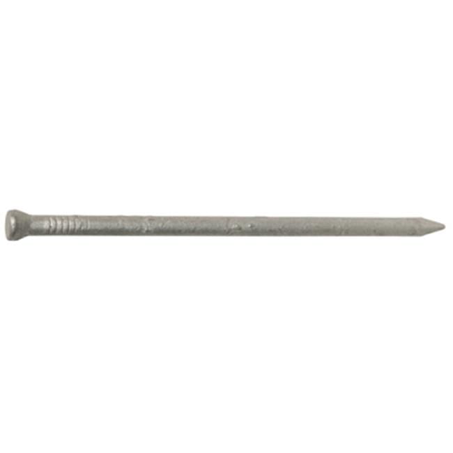 461483 3 in. 10D Galvanized Casing Nail.