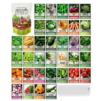 Vegetable Seed Vault Kit | 35 Variety Pack