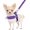 B-Purple, variant on BURIBURI No Pull Small Dog Harness and Leash Set, Puppy Soft Vest Harness Neck & Chest Adjustable, Reflective Lightweight Harness & Anti-Twist Pet Lead Combo for Small Medium Dogs (BL-Front Cli
