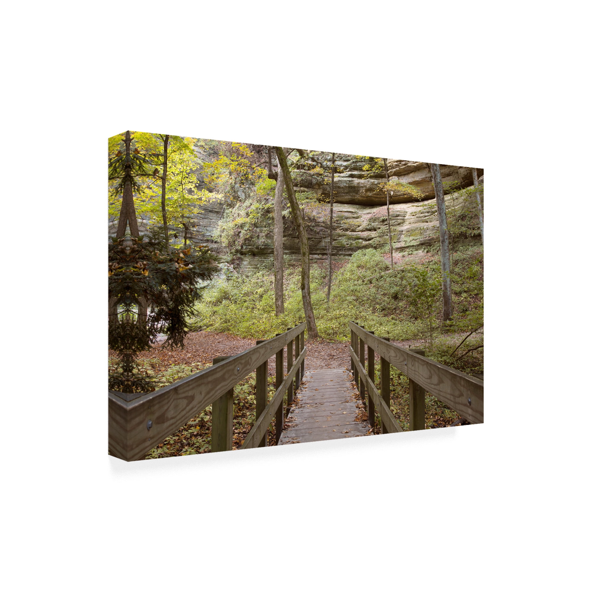 Trademark Fine Art 'Bridge In The Canyon' Canvas Art by Monte Nagler