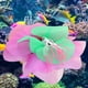 thumbnail image 5 of Acuario plantas acuáticas artificiales decoración paisajismo del tanque de peces flor de lirio de agua de loto Multicolor púrpura, 5 of 9